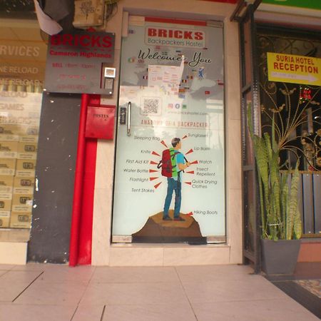 Bricks Cameron Hostel ตานาห์ราตา ภายนอก รูปภาพ